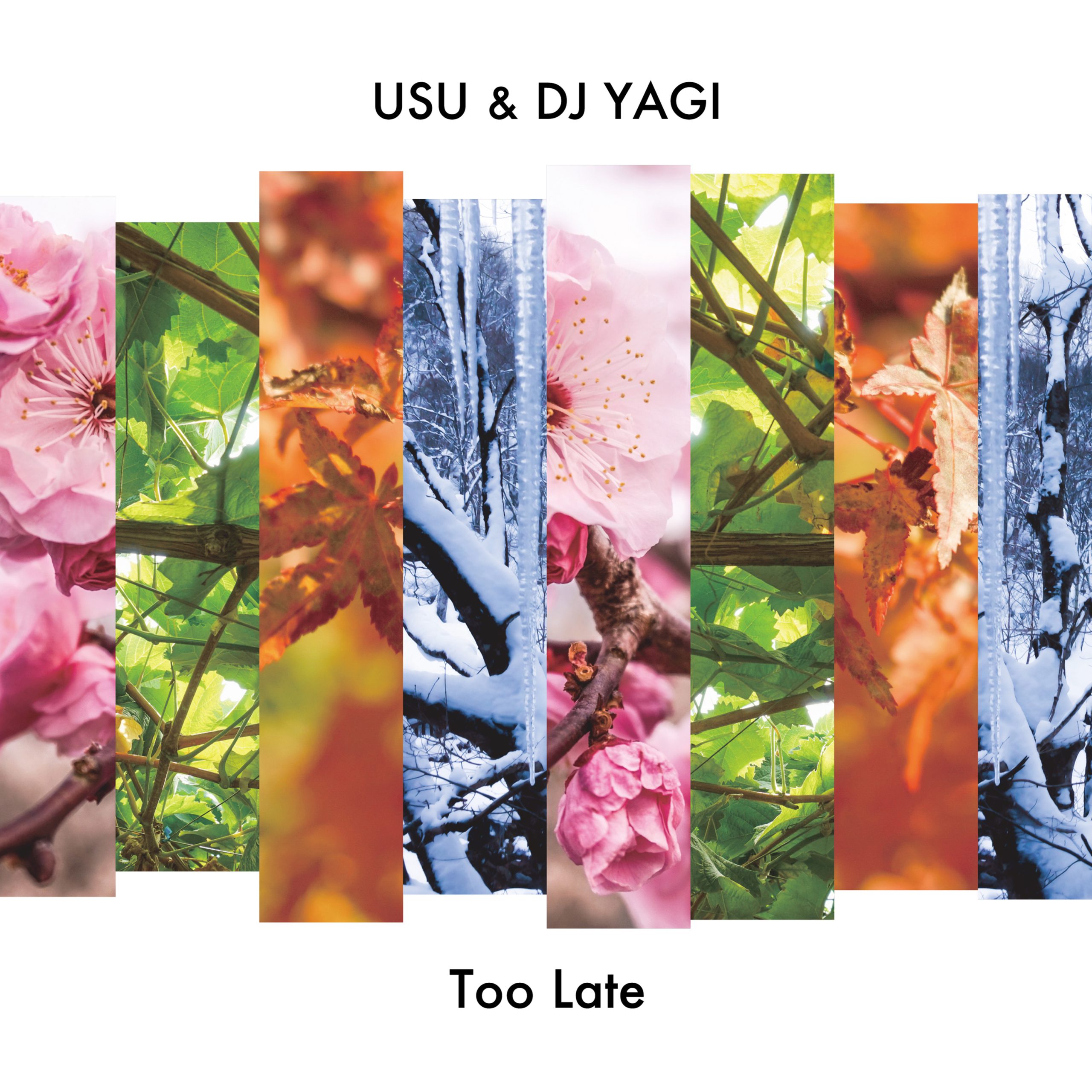 Too Late / USU & DJ YAGI